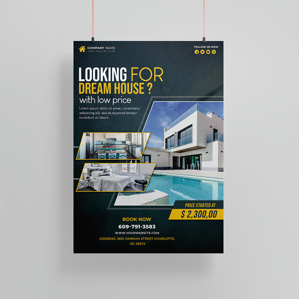 Poster (22 X 28 Inches)